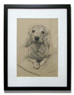 フレーム(ブラック)