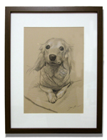 フレーム(ブラウン)