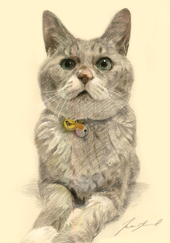 ネコ肖像画14