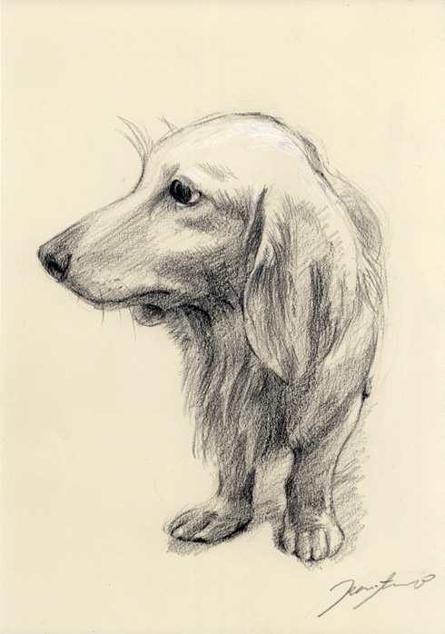 犬肖像画03