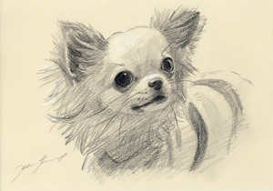 ホワイトベージュ